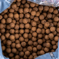 DNA Baits The Bug Shelf Life Boilies
